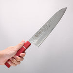 Sakai Takayuki VG10 33 Layer Damascus Gyuto 240mm Live oak Lacquered (Kouseki) Handle - Japannywholesale