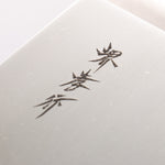 Sakai Takayuki Molybdenum Soba 270mm - Japannywholesale