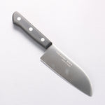 Sakai Takayuki Molybdenum Kitchen Knife for Kids 120mm - Japannywholesale