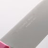 Sakai Takayuki Molybdenum Kitchen Knife for Kids 120mm - Japannywholesale