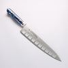 Sakai Takayuki Grand Chef SP Uddeholm Swedish stain-resistant steel Gyuto Salmon 240mm SP Type III (Ocean) Handle - Japannywholesale