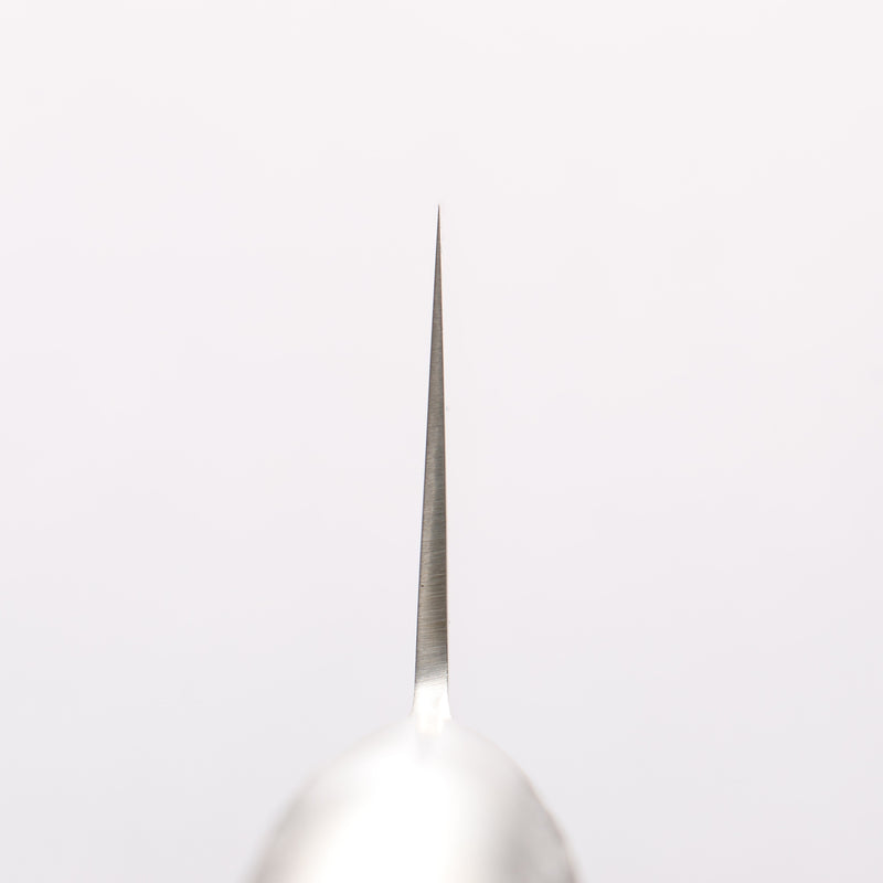 Sakai Takayuki INOX PRO Molybdenum Gyuto 240mm - Japannywholesale