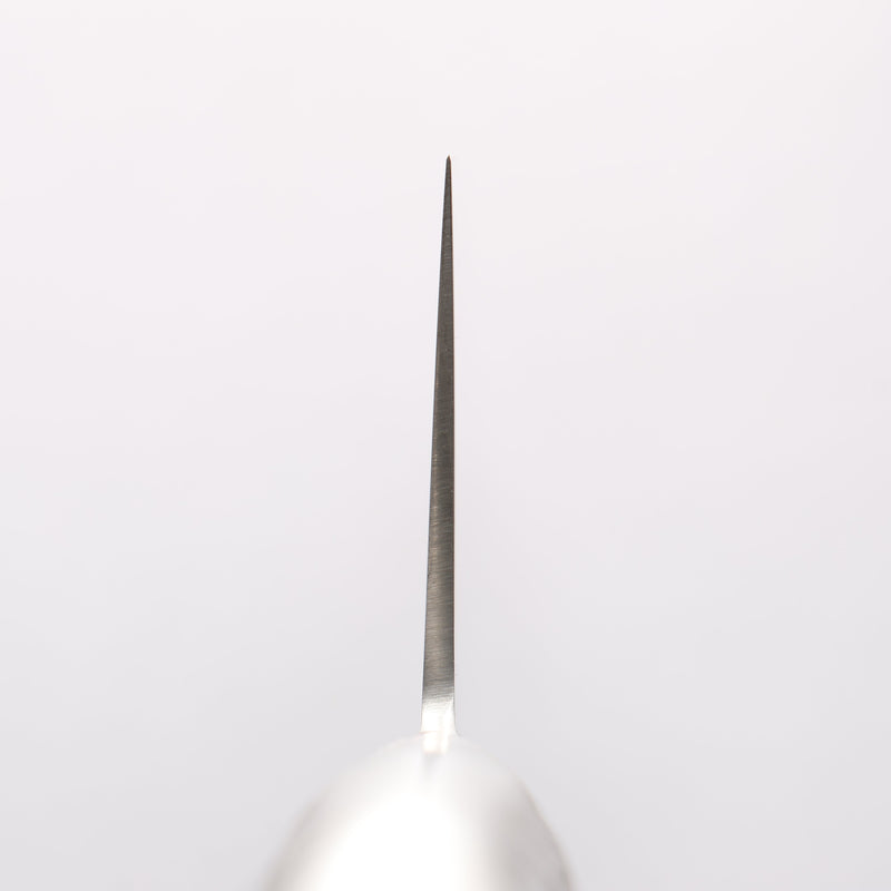 Sakai Takayuki INOX PRO Molybdenum Gyuto 270mm - Japannywholesale