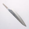 Sakai Takayuki VG10 33 Layer Damascus Gyuto 210mm(Blade only) - Japannywholesale