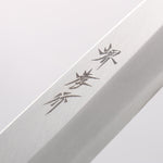 Sakai Takayuki Nanairo INOX Molybdenum Yanagiba 240mm ABS resin(Turquoise pearl) Handle - Japannywholesale