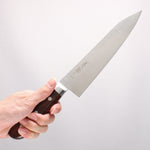 Seisuke VG10 Kiritsuke Gyuto  210mm Mahogany Handle