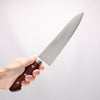 Seisuke No maker's mark SG2 Gyuto 210mm Various colors Handle B Grade - Japannywholesale