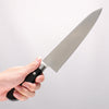 Iseya Molybdenum Gyuto 210mm Black Micarta Handle - Japannywholesale