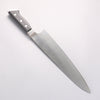 Glestain Stainless Steel Gyuto - Japannywholesale