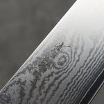 Seisuke VG10 33 Layer Damascus Gyuto  210mm Pakka wood Handle - Japannywholesale