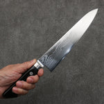 Seisuke VG10 33 Layer Damascus Gyuto  210mm Pakka wood Handle - Japannywholesale