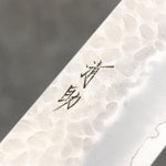 Seisuke AUS8 Hammered Gyuto  270mm Black Pakka wood Handle - Japannywholesale