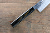 Sakai Takayuki VG10 33 Layer Damascus Gyuto  210mm Live oak Lacquered (Saiu) Handle - Japannywholesale