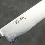 Seisuke VG10 33 Layer Mirrored Finish Damascus Sujihiki  240mm Black Pakka wood Handle - Japannywholesale