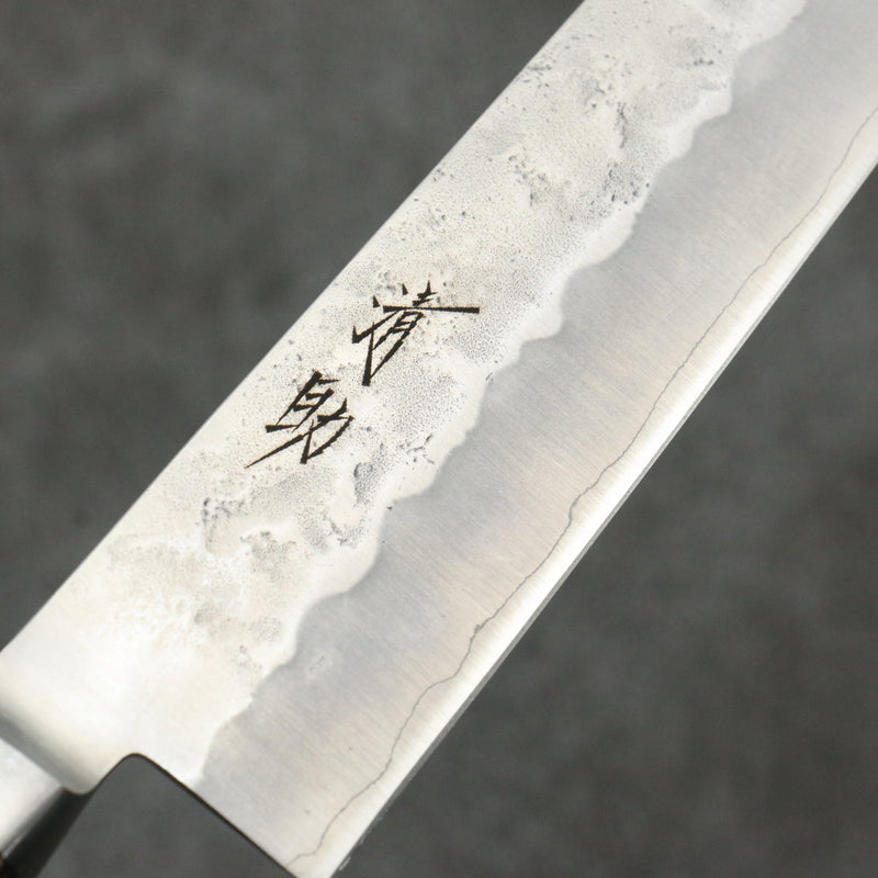 Seisuke Silver Steel No.3 Nashiji Sujihiki  240mm Brown Pakka wood Handle - Japannywholesale