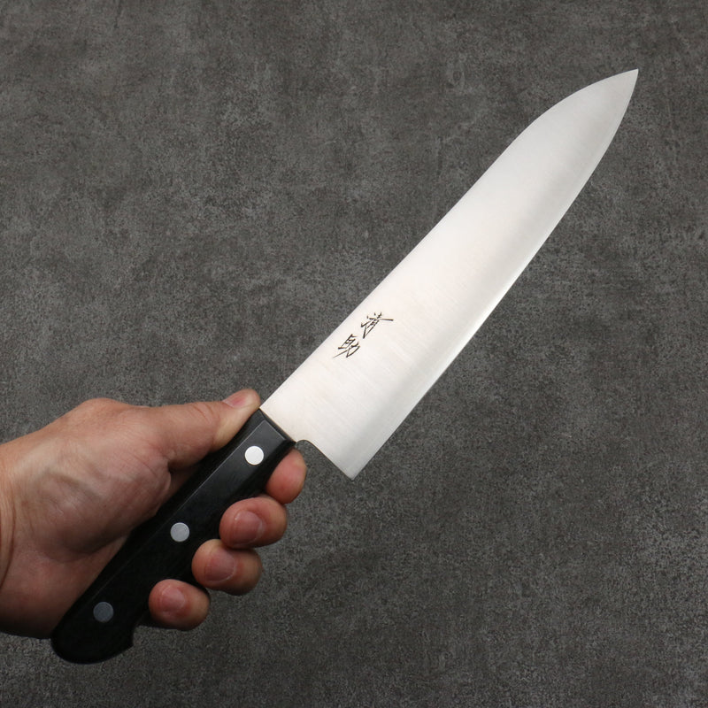 Seisuke SLD Migaki Polish Finish Gyuto  210mm Black Pakka wood Handle - Japannywholesale