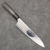 Seisuke VG5 Black Nashiji Mirrored Finish Gyuto  210mm Gray Pakka wood Handle - Japannywholesale