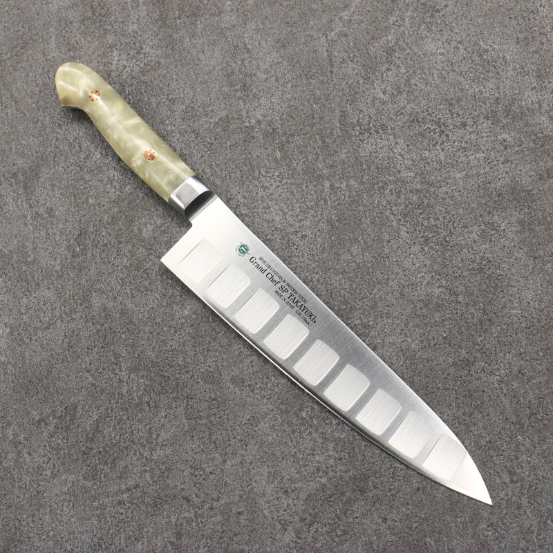 Sakai Takayuki Grand Chef SP Uddeholm Swedish stain-resistant steel Gyuto Salmon  210mm SP Type III (Pearl) Handle - Japannywholesale