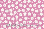 Gift Wrapping - Japannywholesale