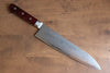 Seisuke VG10 33 Layer Mirrored Finish Damascus Gyuto  210mm Red Pakka wood Handle - Japannywholesale