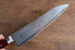 Seisuke VG10 33 Layer Mirrored Finish Damascus Gyuto  210mm Red Pakka wood Handle - Japannywholesale