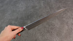 Seisuke Swedish Steel-stn Hammered Gyuto  240mm Mahogany Handle - Japannywholesale