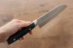 Seisuke PRO-J VG10 Hammered Santoku  170mm Black Micarta Handle - Japannywholesale