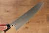 Jikko SG2 Gyuto  210mm Magnolia Handle - Japannywholesale