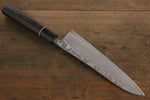 Shigeki Tanaka R2 Damascus Japanese Gyuto 210mm & Petty 150mm Knife set - Japannywholesale