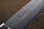 Sakai Takayuki VG10 33 Layer Damascus Gyuto  240mm Desert Ironwood(Sugihara model) Handle - Japannywholesale