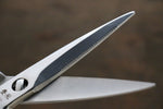 Stainless Kitchen Scissors - Japannywholesale