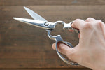 Stainless Kitchen Scissors - Japannywholesale