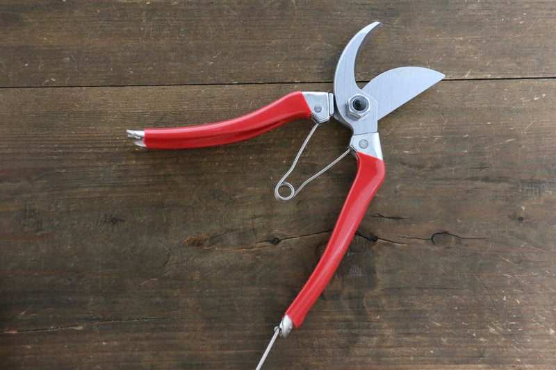 ARS Pruning Shears 120S-8 - Japannywholesale