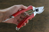 ARS Pruning Shears 120S-8 - Japannywholesale