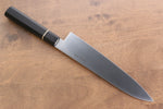 Seisuke Molybdenum Gyuto  210mm Black Pakka wood Handle - Japannywholesale