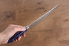 Seisuke VG10 33 Layer Hammered Damascus Gyuto  210mm Blue Pakka wood Handle - Japannywholesale