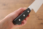 Iseya Molybdenum Gyuto  210mm Black Pakka wood Handle - Japannywholesale