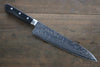 Sakai Takayuki AUS10 45 Layer Mirrored Finish Damascus Gyuto  210mm - Japannywholesale