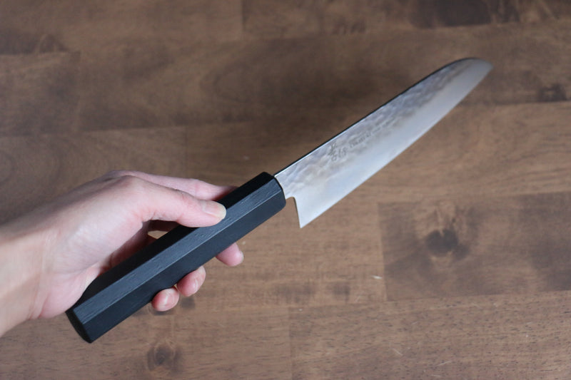 Sakai Takayuki Nanairo VG10 33 Layer Santoku  180mm ABS resin(Black Lacquered) Handle - Japannywholesale