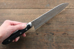 Seisuke VG1 Japanese Santoku & Petty  mm Pakka wood Handle - Japannywholesale