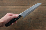 Seisuke VG1 Japanese Santoku & Petty  mm Pakka wood Handle - Japannywholesale