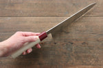 Seisuke VG10 Gyuto  210mm - Japannywholesale