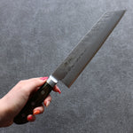 Seisuke Silver Steel No.3 Nashiji Kiritsuke Gyuto  210mm Brown Pakka wood Handle - Japannywholesale