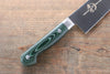 Sakai Takayuki Grand Chef Grand Chef Swedish Steel-stn Gyuto  210mm Green Micarta Handle - Japannywholesale