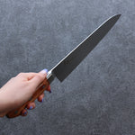 Sakai Takayuki VG5 Hammered Gyuto  240mm Brown Pakka wood Handle - Japannywholesale