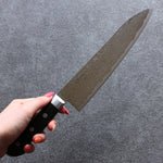 Seisuke Nami AUS10 Mirrored Finish Damascus Gyuto  210mm Black Pakka wood Handle - Japannywholesale