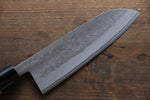 Seisuke Blue Steel No.2 Nashiji Gyuto, Santoku, Petty Japanese Chef Knives Set - Japannywholesale