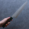 Seisuke Silver Steel No.3 Hammered Gyuto  210mm Walnut(With Double Green Pakka wood) Handle - Japannywholesale