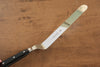 Sakai Takayuki INOX Molybdenum Palette knife  195mm - Japannywholesale