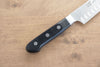 Seisuke Swedish Steel Sujihiki Salmon  270mm Black Pakka wood Handle - Japannywholesale